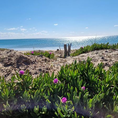 207 Cap D'Agde Naturiste Grand T2 De Standing Avec Garage Eksteriør billede